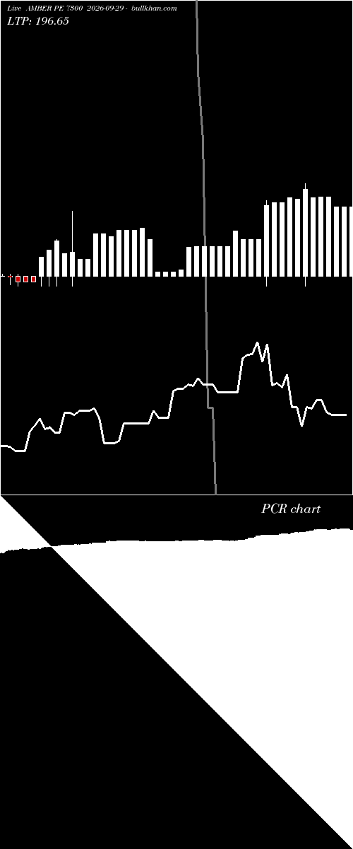  option chart AMBER PE 7300 2026-09-29 