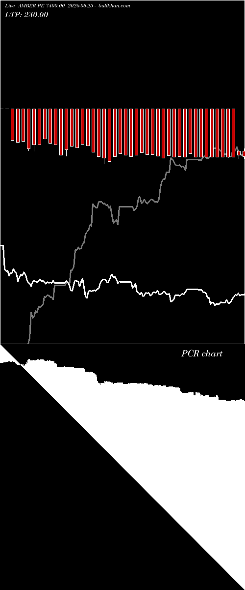  option chart AMBER PE 7400.00 2026-08-25 