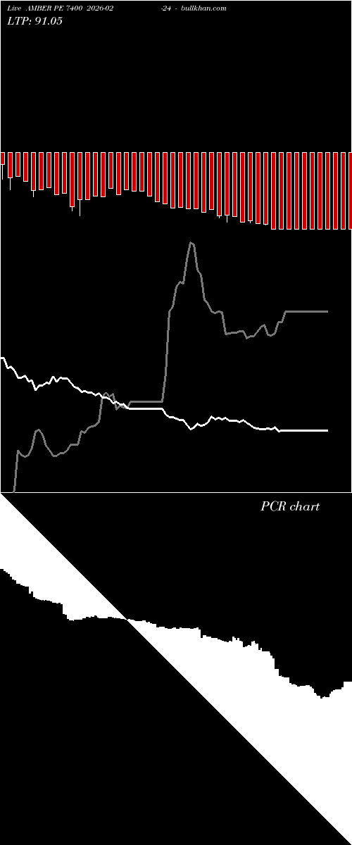  option chart AMBER PE 7400 2026-02-24 