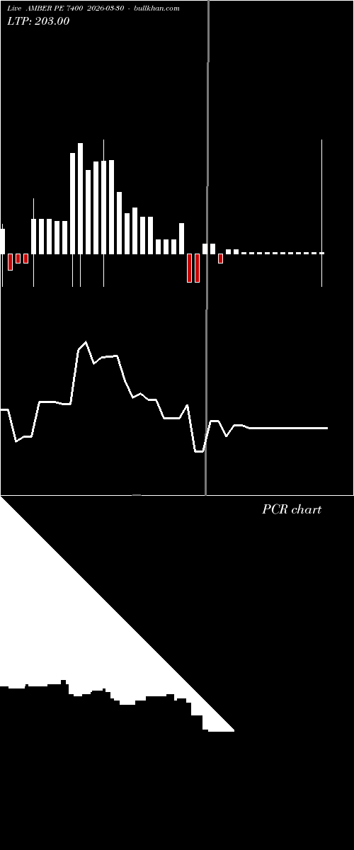  option chart AMBER PE 7400 2026-03-30 