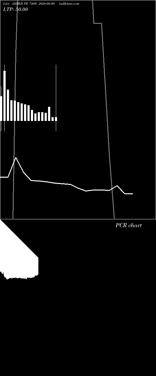  option chart AMBER PE 7400 2026-06-30 