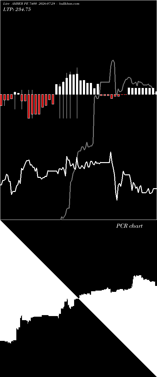  option chart AMBER PE 7400 2026-07-28 