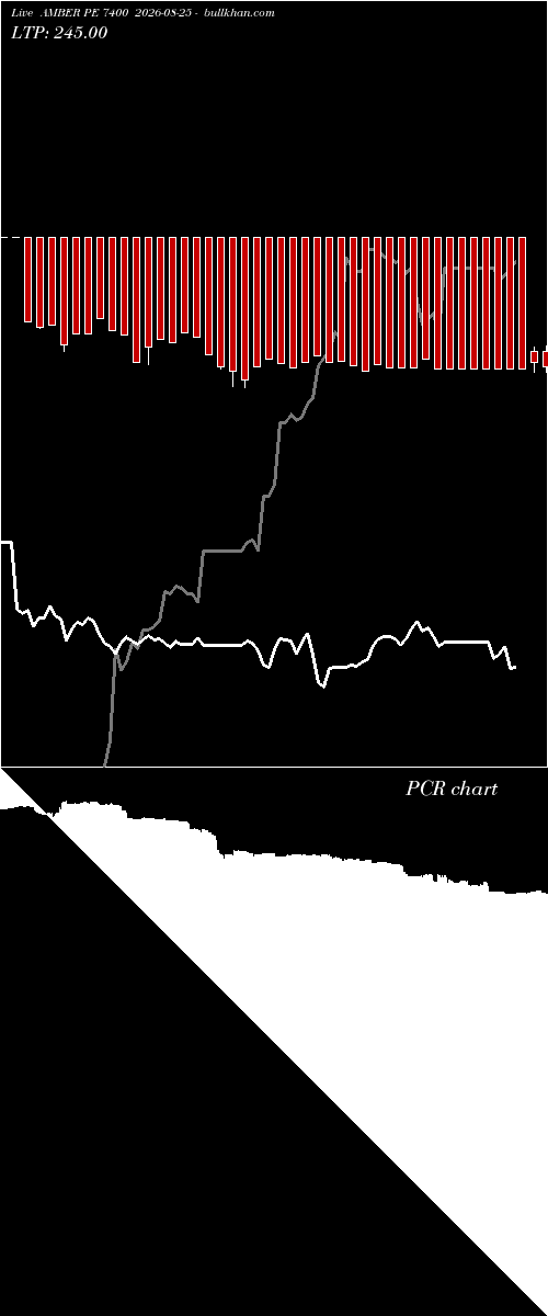  option chart AMBER PE 7400 2026-08-25 