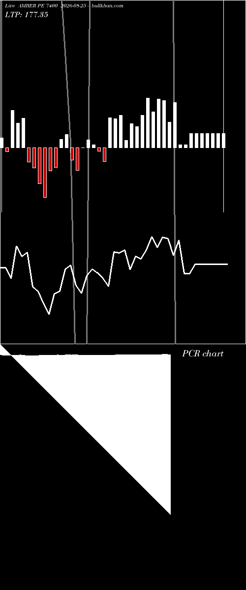  option chart AMBER PE 7400 2026-08-25 