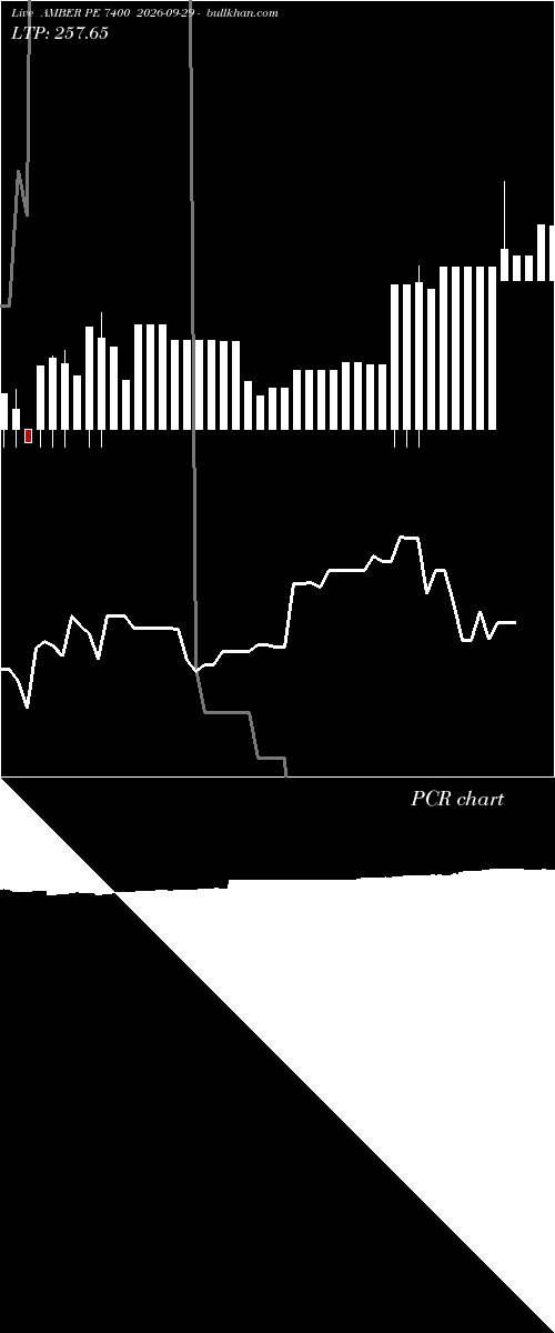  option chart AMBER PE 7400 2026-09-29 