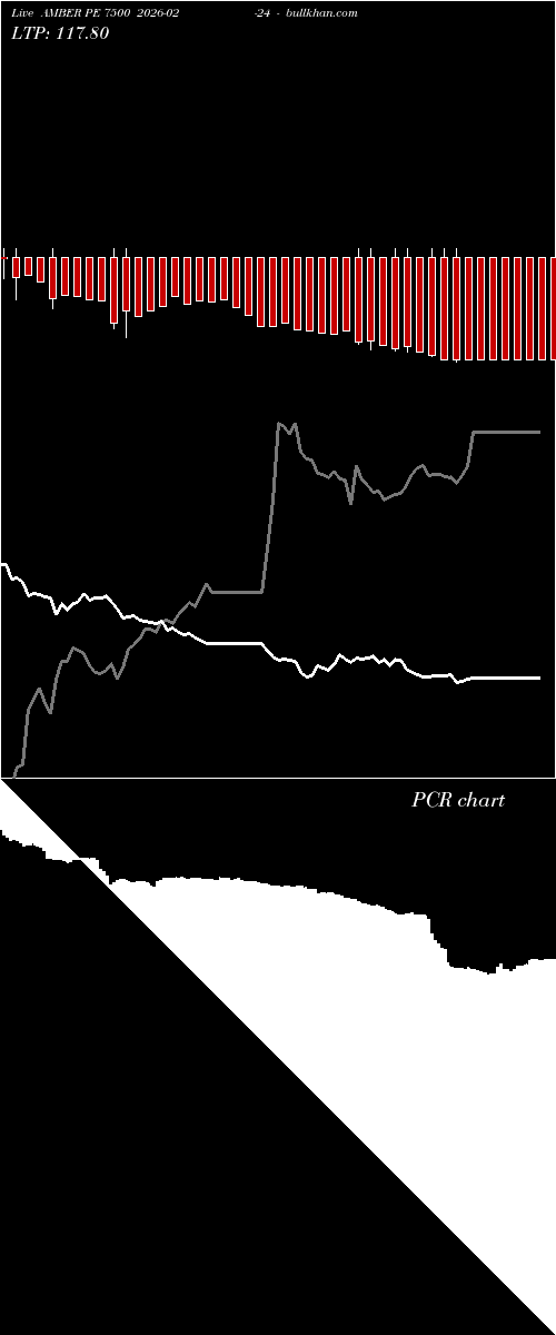  option chart AMBER PE 7500 2026-02-24 