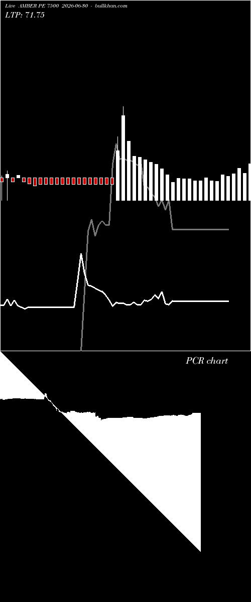  option chart AMBER PE 7500 2026-06-30 