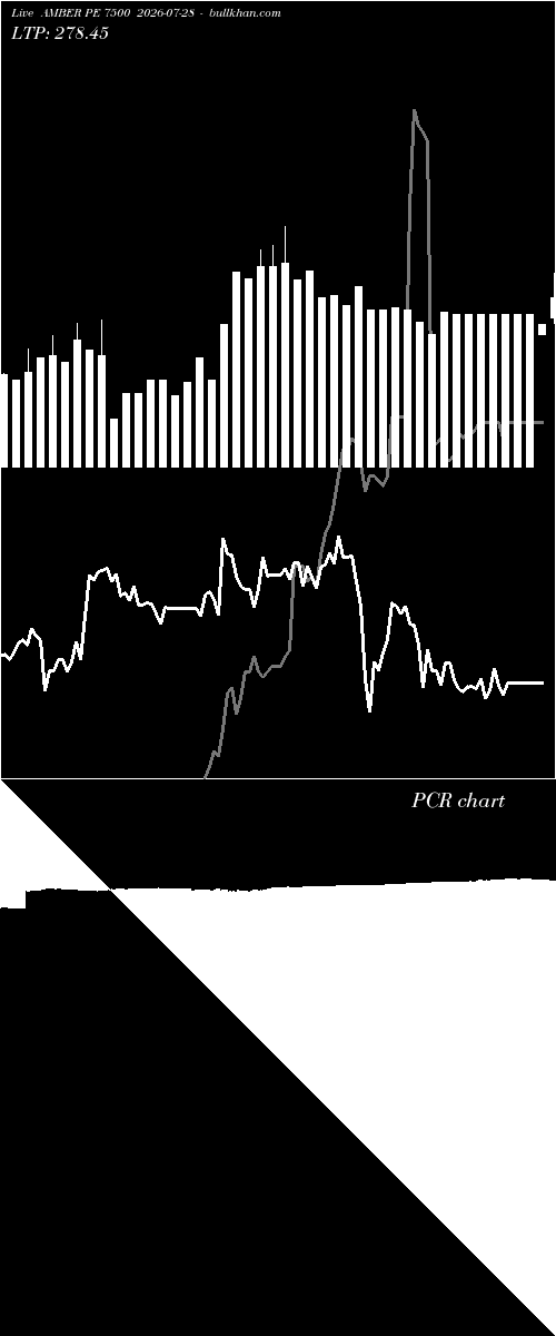  option chart AMBER PE 7500 2026-07-28 