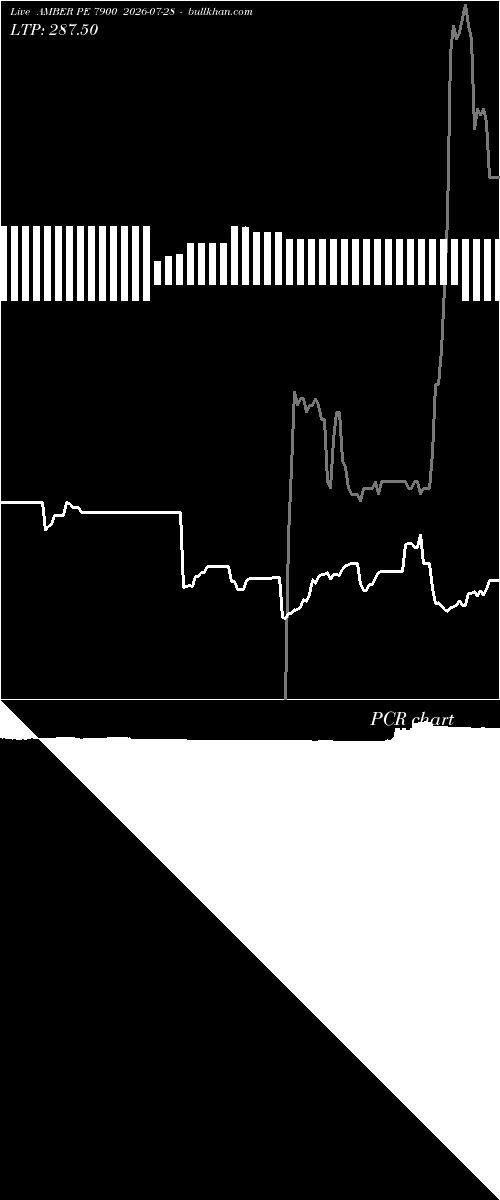  option chart AMBER PE 7900 2026-07-28 