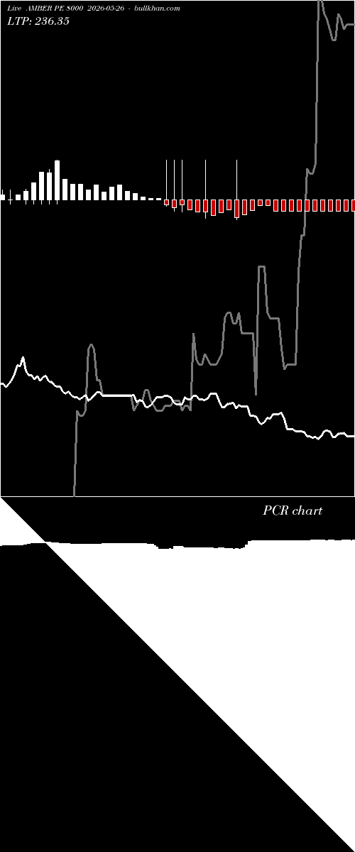  option chart AMBER PE 8000 2026-05-26 