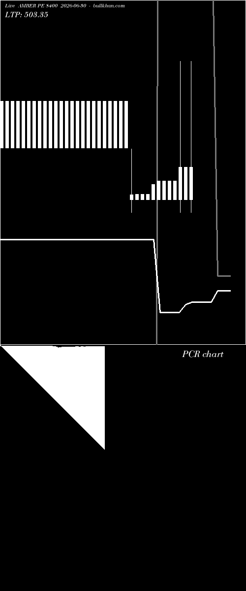  option chart AMBER PE 8400 2026-06-30 