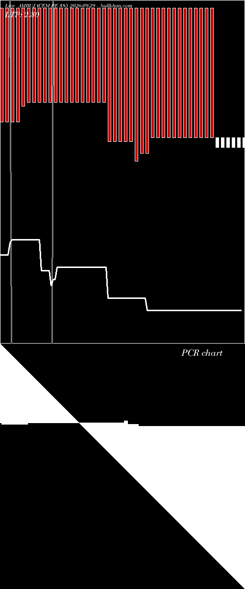 option chart AMBUJACEM PE 385 2026-09-29 