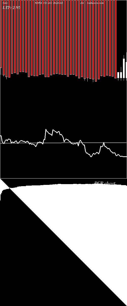  option chart BHEL CE 265 2026-02-24 