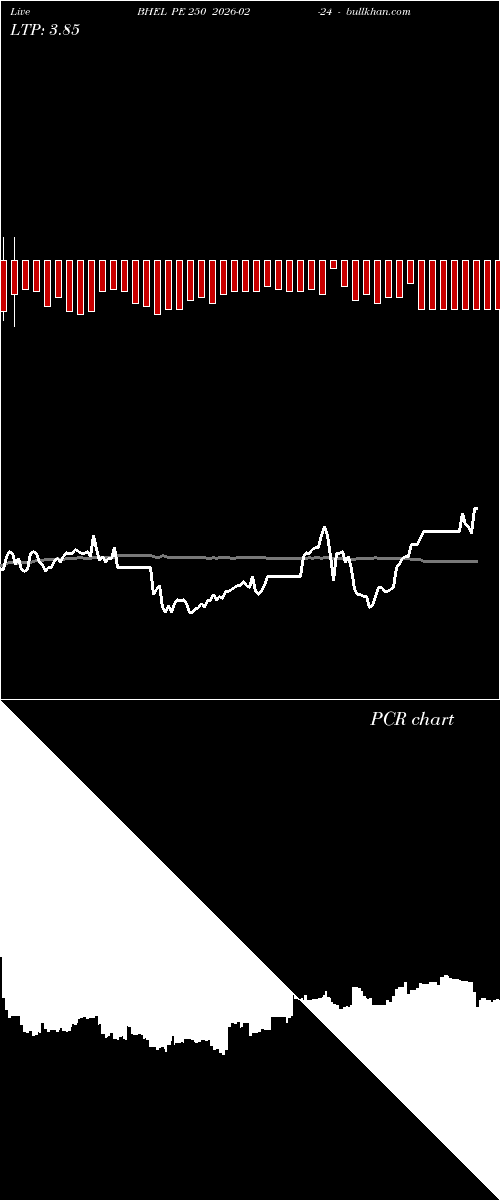  option chart BHEL PE 250 2026-02-24 