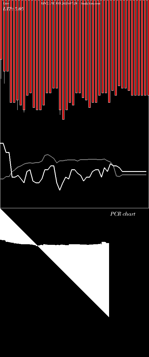  option chart BPCL PE 305 2026-07-28 