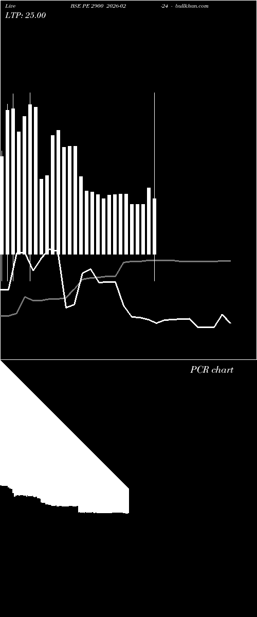  option chart BSE PE 2900 2026-02-24 