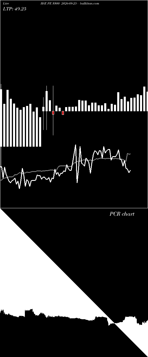  option chart BSE PE 3300 2026-08-25 