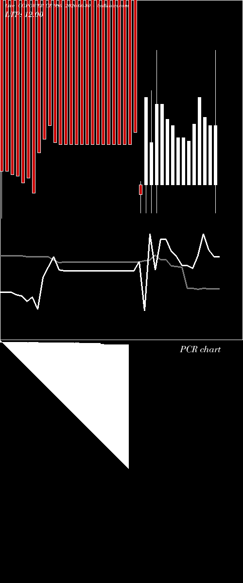  option chart CGPOWER CE 980 2026-06-30 