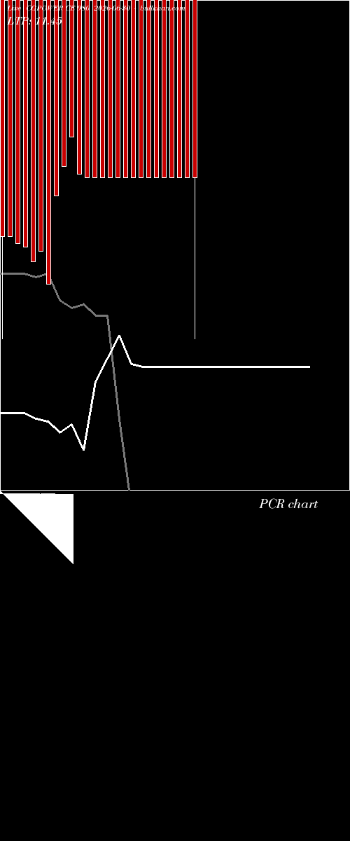  option chart CGPOWER CE 980 2026-06-30 