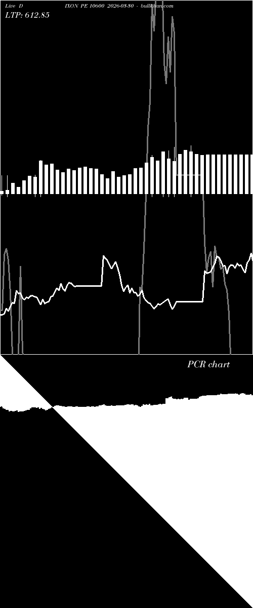  option chart DIXON PE 10600 2026-03-30 