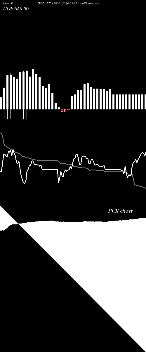  option chart DIXON PE 11000 2026-01-27 