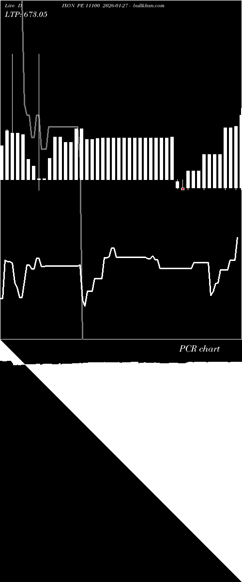  option chart DIXON PE 11100 2026-01-27 