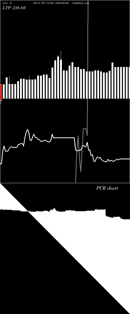 option chart DIXON PE 11100 2026-06-30 