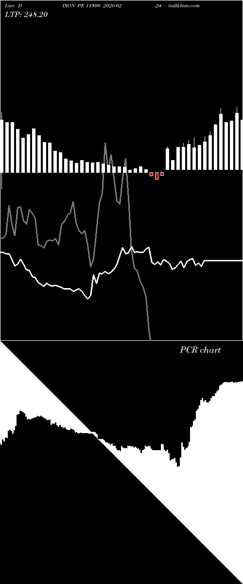  option chart DIXON PE 11300 2026-02-24 