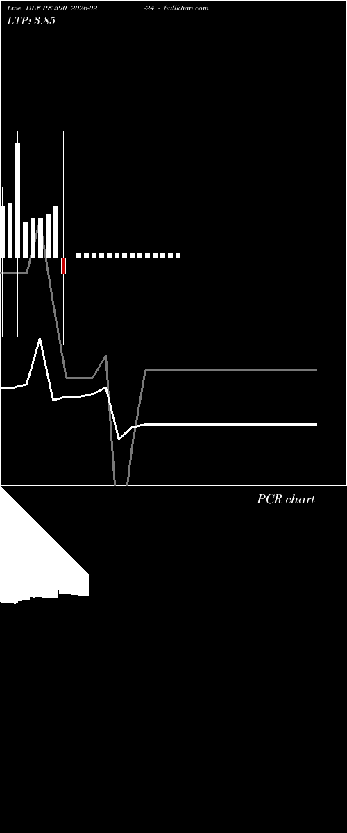  option chart DLF PE 590 2026-02-24 