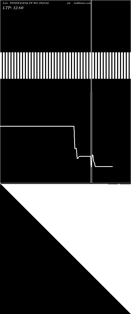  option chart FEDERALBNK PE 305 2026-02-24 