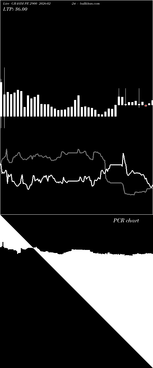  option chart GRASIM PE 2900 2026-02-24 