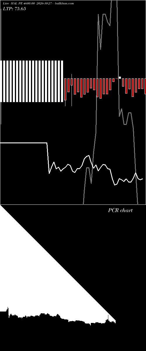  option chart HAL PE 4600.00 2026-10-27 