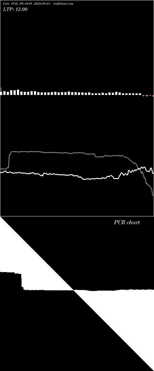  option chart HAL PE 4850 2026-08-25 