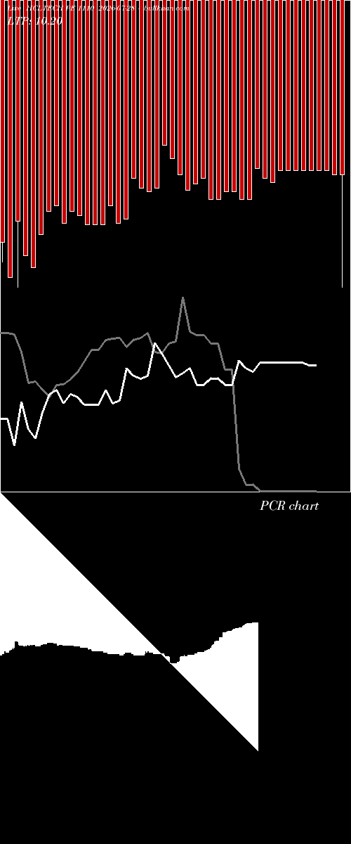  option chart HCLTECH PE 1110 2026-07-28 