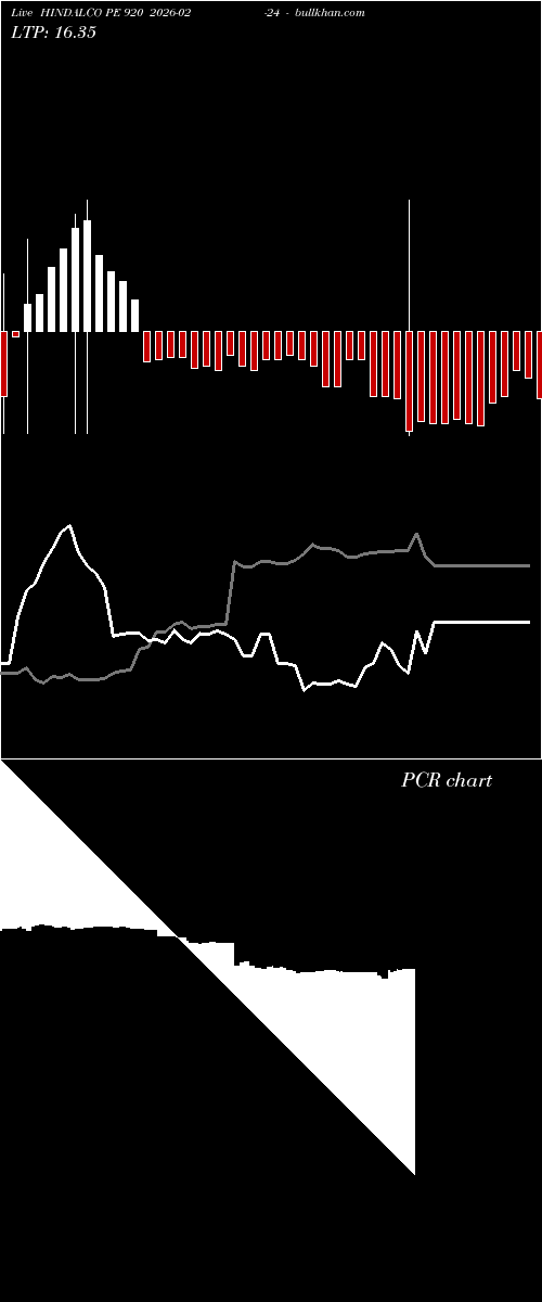  option chart HINDALCO PE 920 2026-02-24 