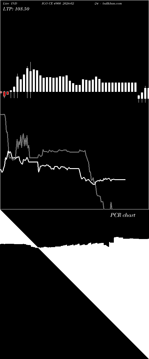  option chart INDIGO CE 4900 2026-02-24 