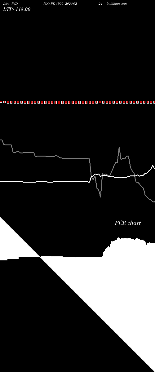  option chart INDIGO PE 4900 2026-02-24 