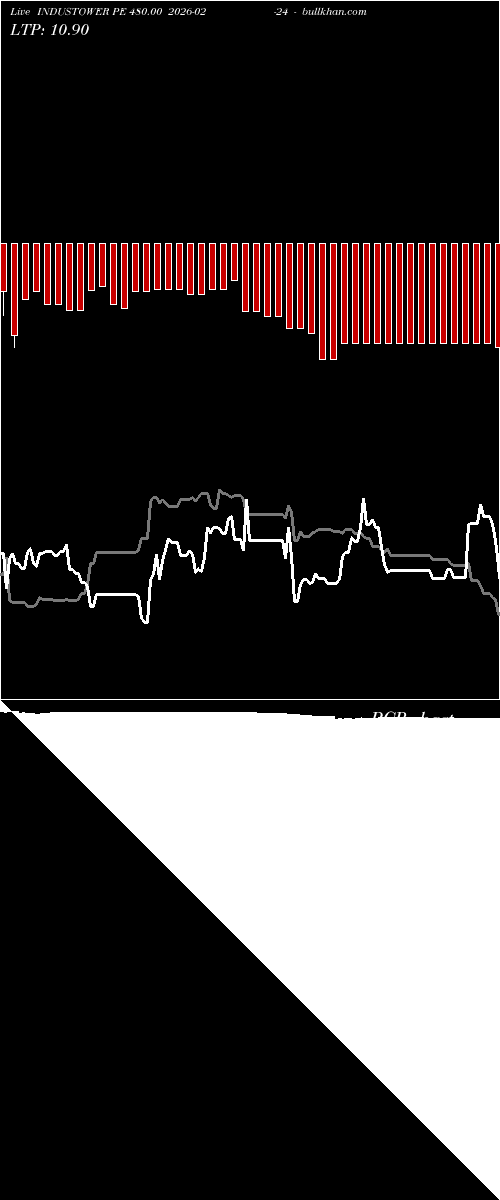  option chart INDUSTOWER PE 480.00 2026-02-24 