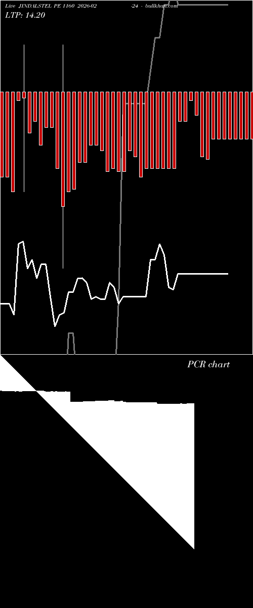  option chart JINDALSTEL PE 1160 2026-02-24 