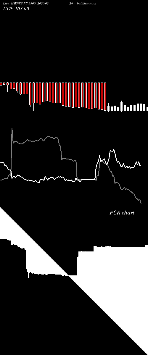  option chart KAYNES PE 3900 2026-02-24 