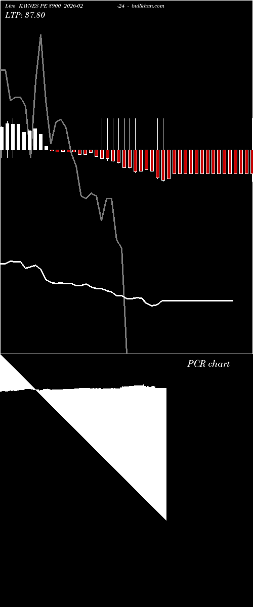  option chart KAYNES PE 3900 2026-02-24 