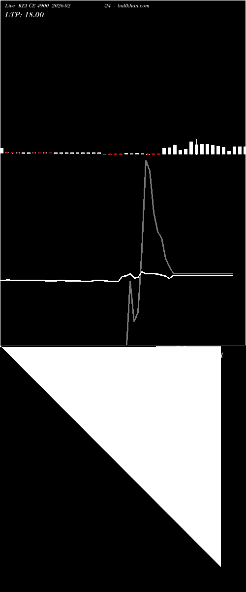  option chart KEI CE 4900 2026-02-24 