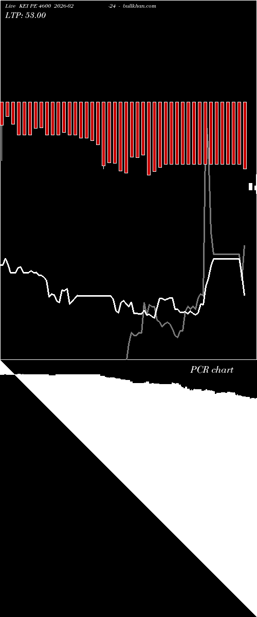  option chart KEI PE 4600 2026-02-24 