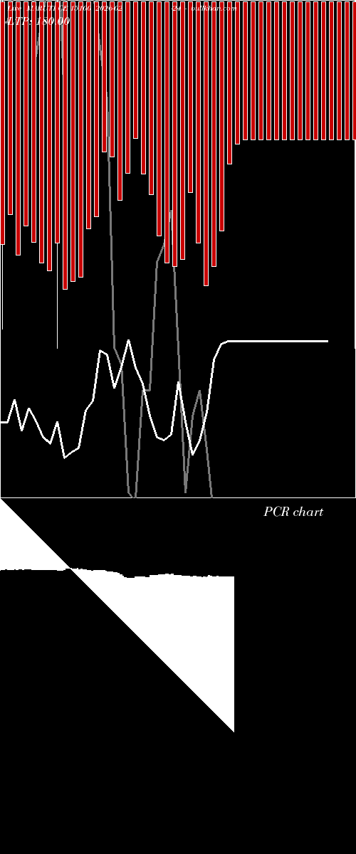  option chart MARUTI CE 15100 2026-02-24 