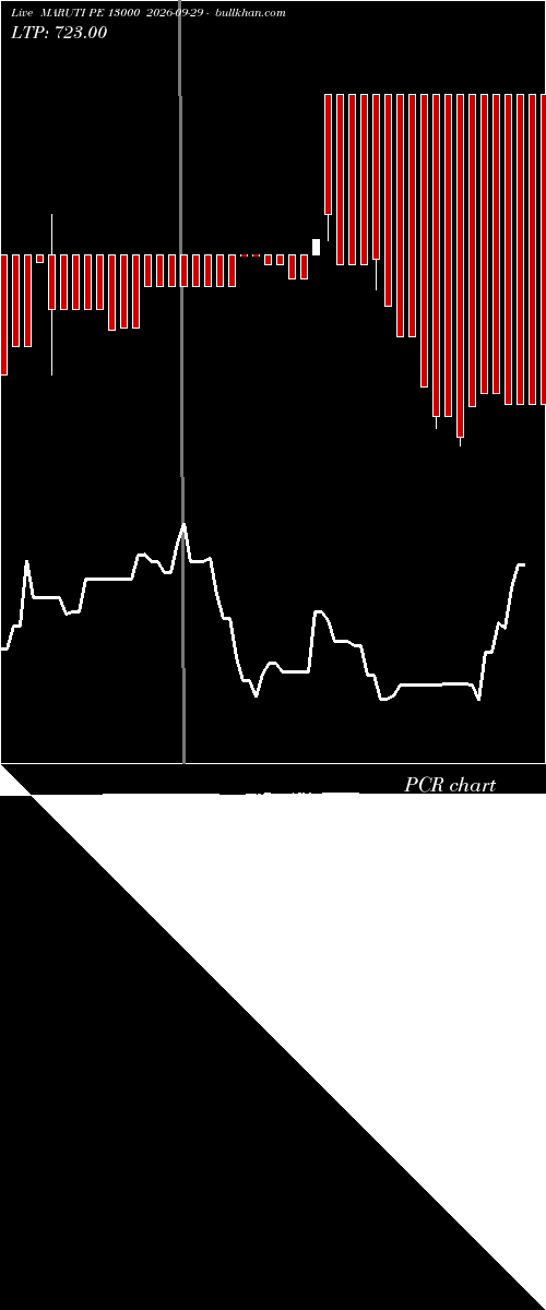  option chart MARUTI PE 13000 2026-09-29 