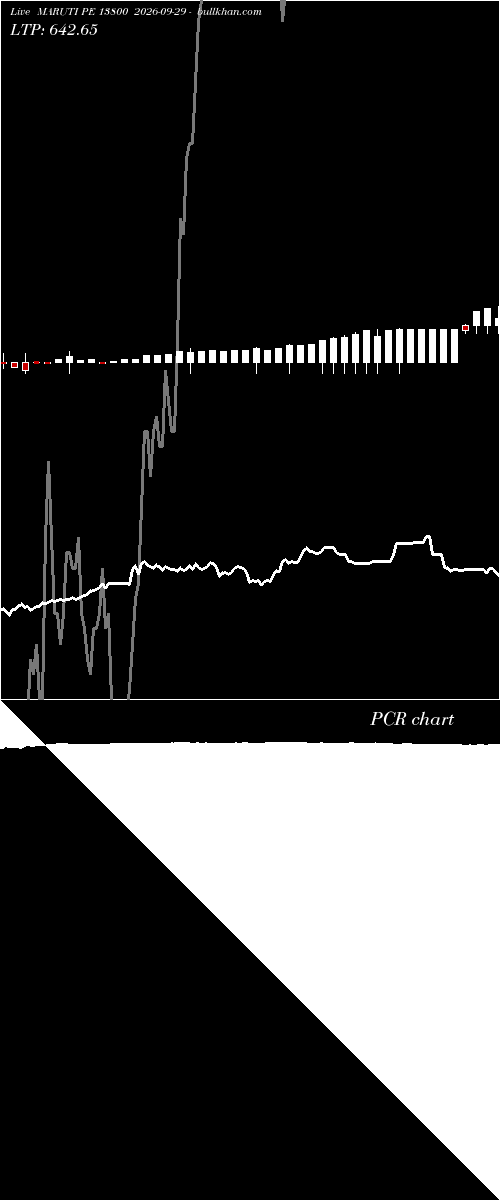  option chart MARUTI PE 13800 2026-09-29 