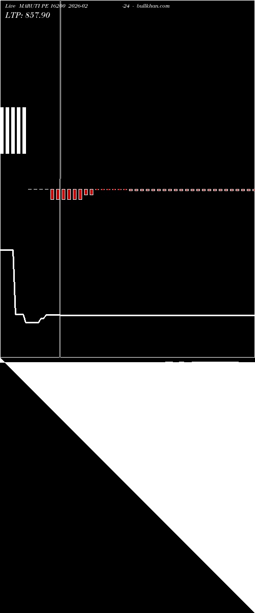  option chart MARUTI PE 16200 2026-02-24 
