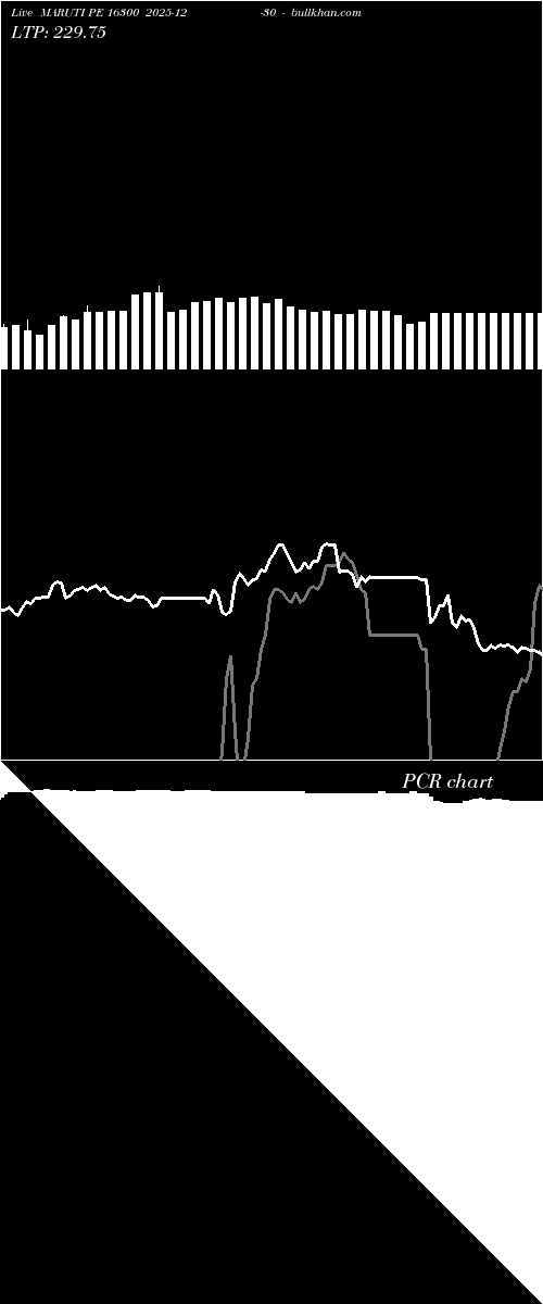  option chart MARUTI PE 16300 2025-12-30 