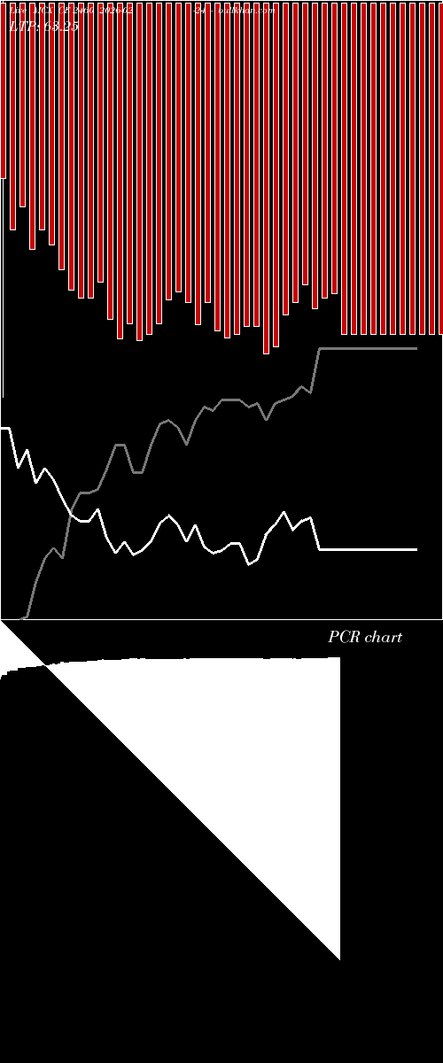  option chart MCX CE 2460 2026-02-24 