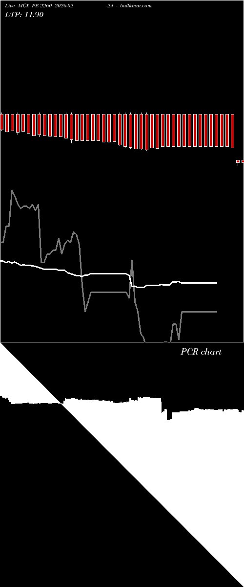  option chart MCX PE 2260 2026-02-24 